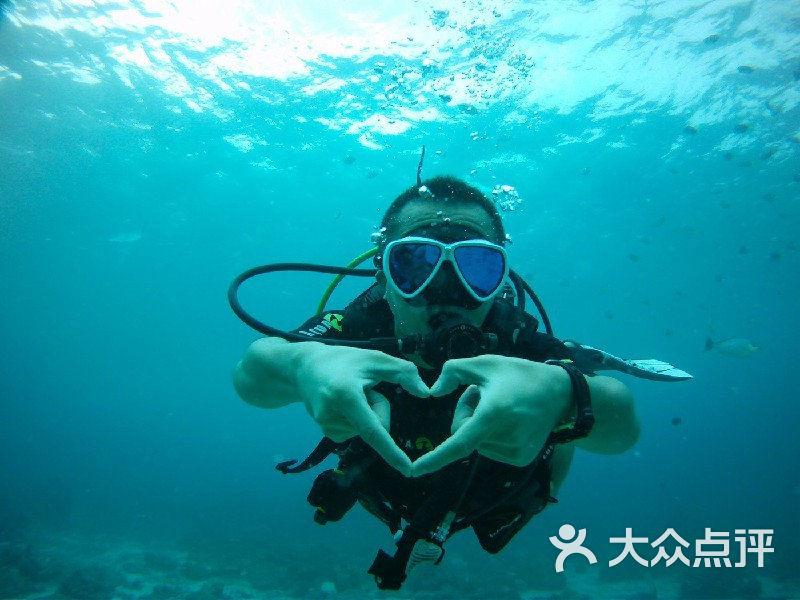 救援受困的老虎
