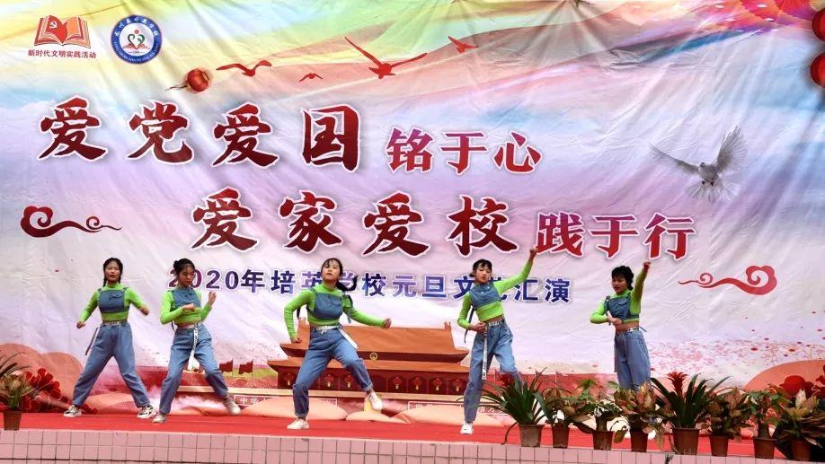 加勒比巡航